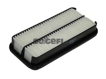 Air Filter A1319