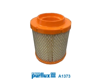 Air Filter A1373