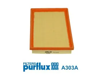 Air Filter A303A