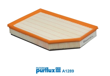 Air Filter A1289