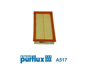 Air Filter A517