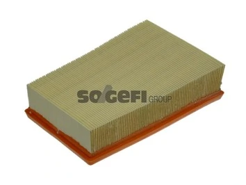 Air Filter A1317