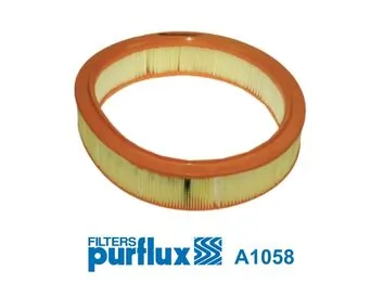 Air Filter A1058