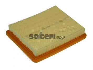 Air Filter A1175