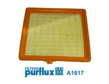 Air Filter A1617
