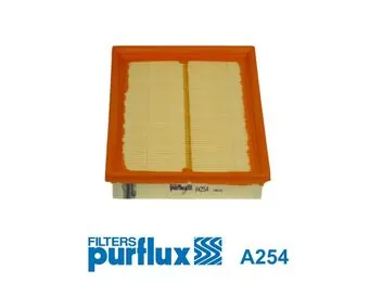 Air Filter A254