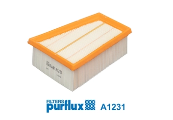 Air Filter A1231