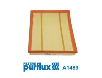 Air Filter A1489