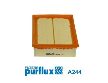 Air Filter A244