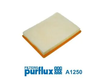 Air Filter A1250