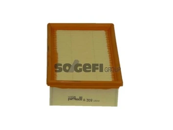 Air Filter A309