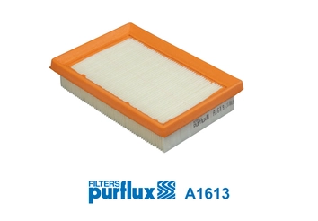 Air Filter A1613