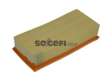 Air Filter A1307