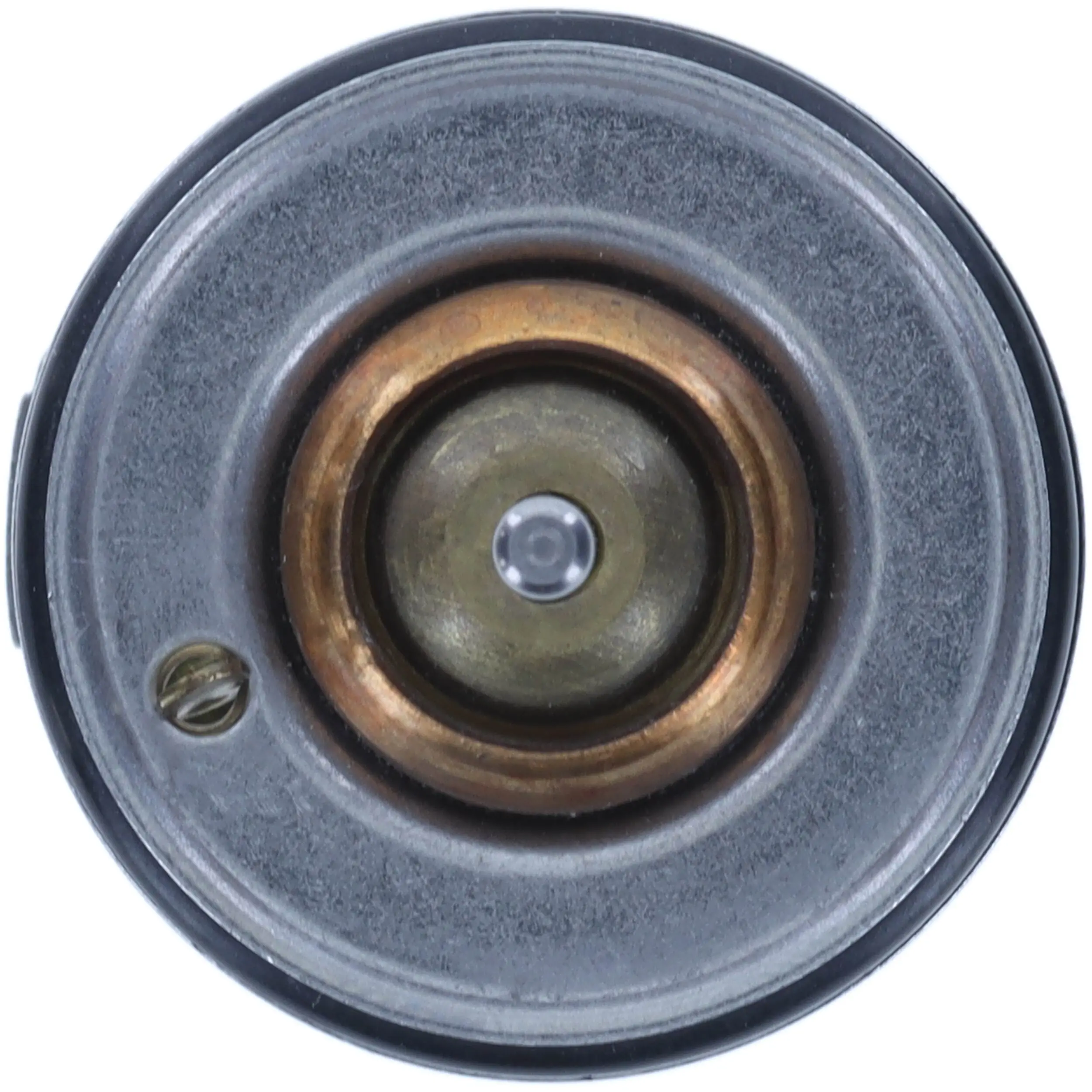 Thermostat, coolant 484-90INSK