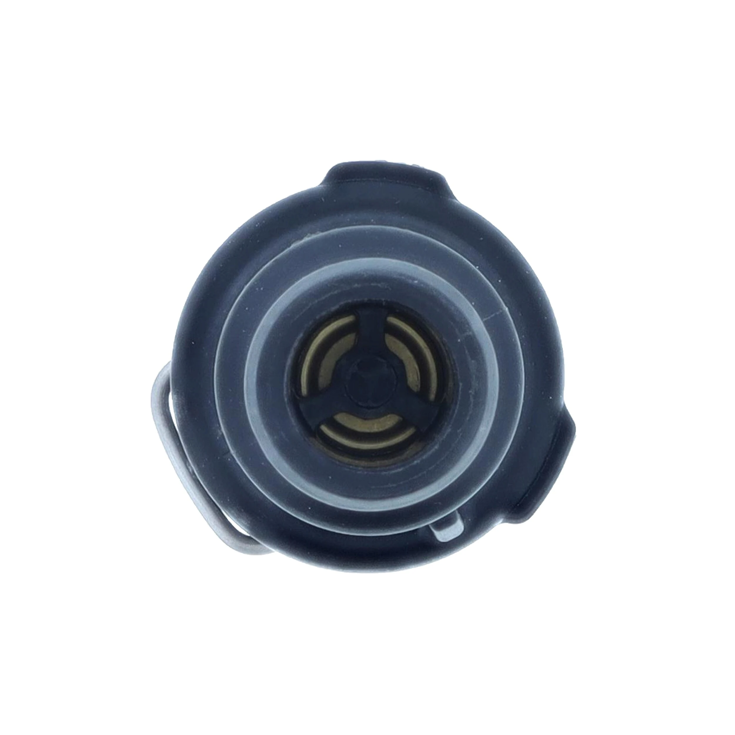 Thermostat, coolant 1030-80