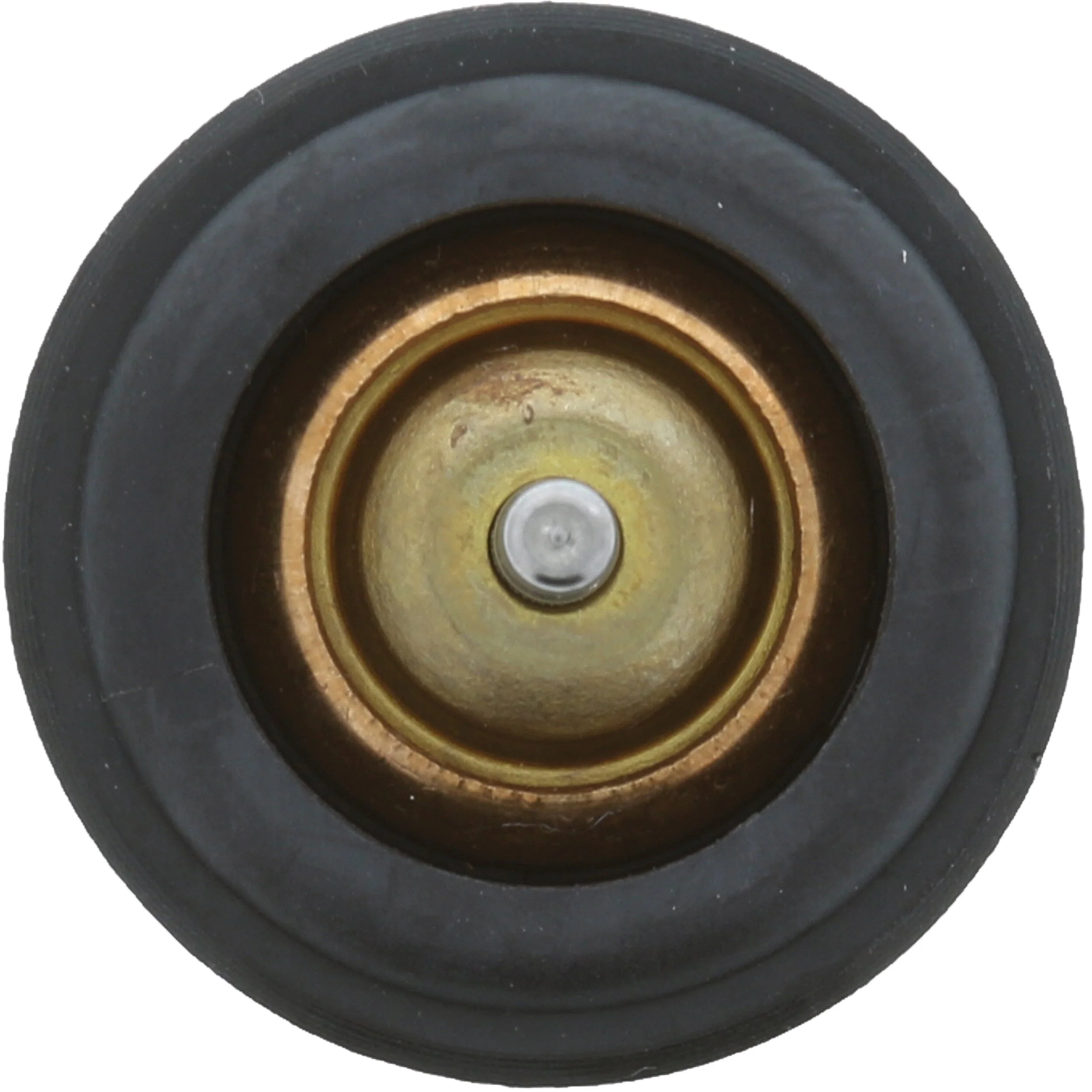 Thermostat, coolant 973-105K