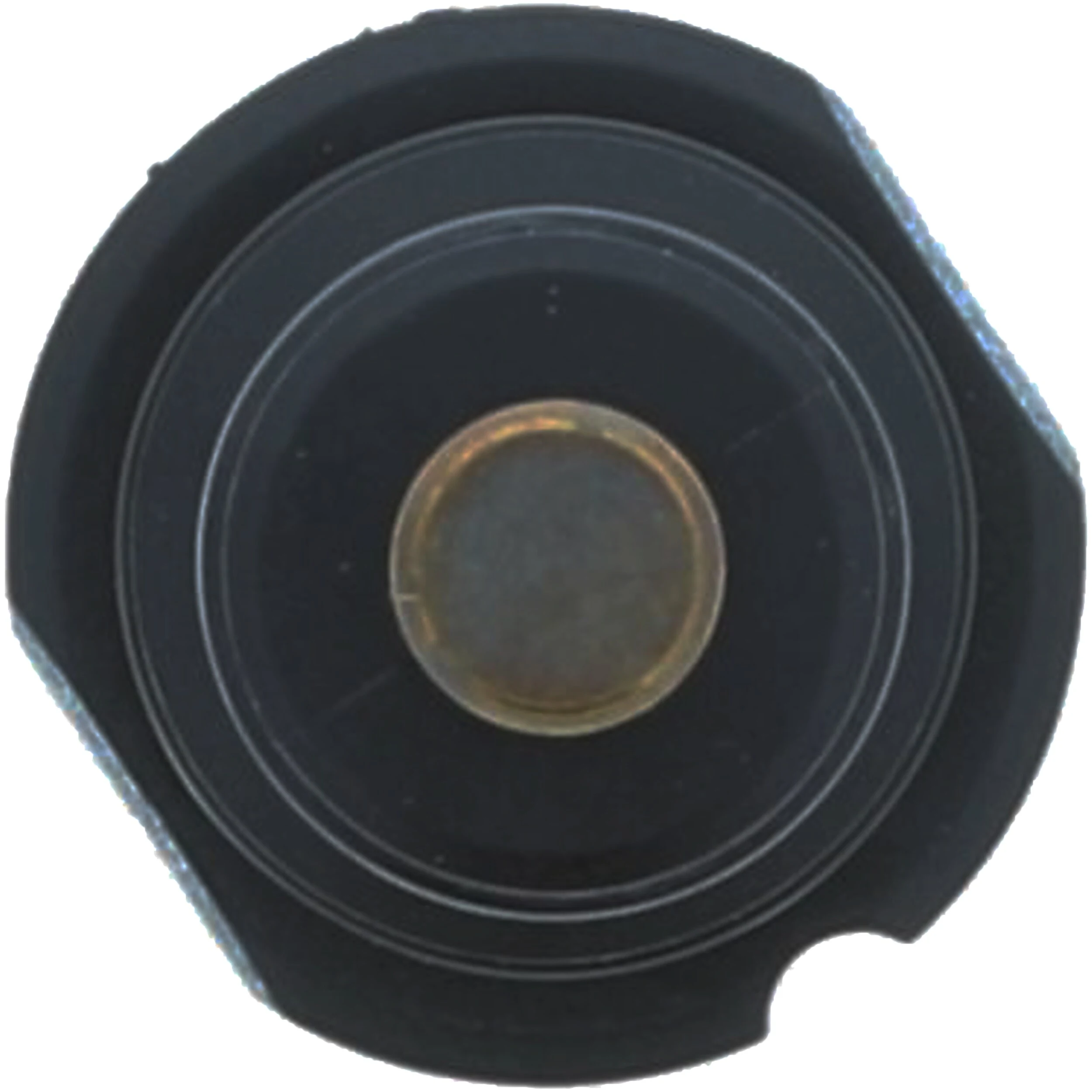 Thermostat, coolant 838-113