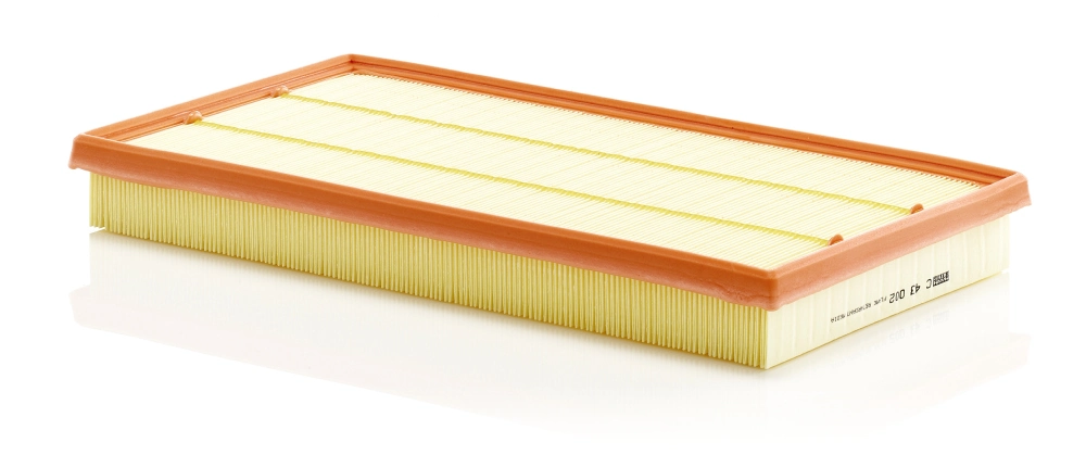 Air Filter C 43 002