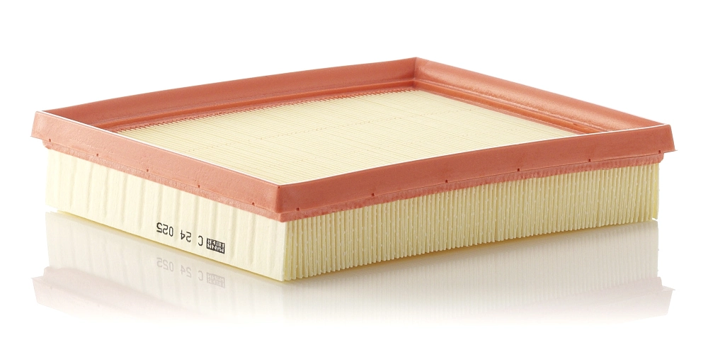 Air Filter C 24 025