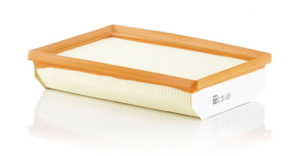Air Filter C 25 033
