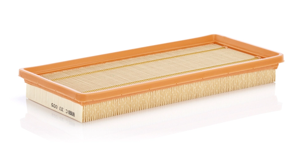 Air Filter C 33 005