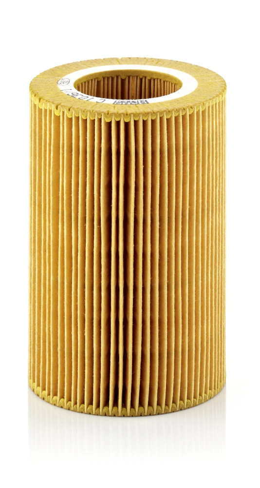 Air Filter C 1036/1
