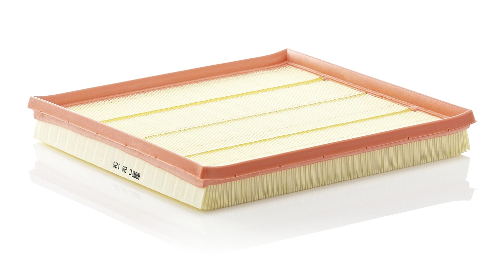 Air Filter C 28 125