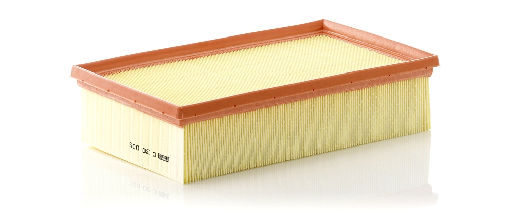 Air Filter C 30 005