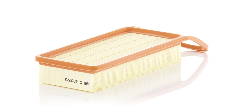 Air Filter C 3087/2