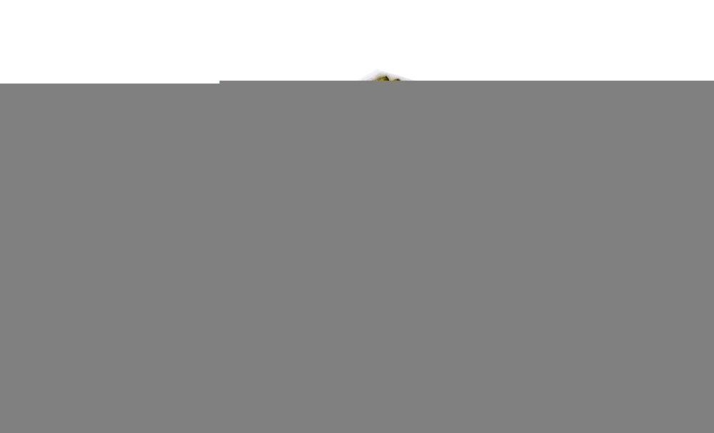 Filter, cabin air FreciousPlus FP 26 005