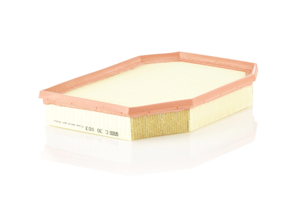 Air Filter C 30 003
