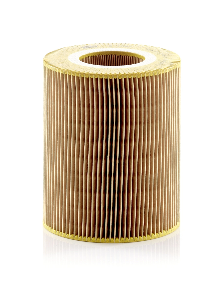 Air Filter C 1381