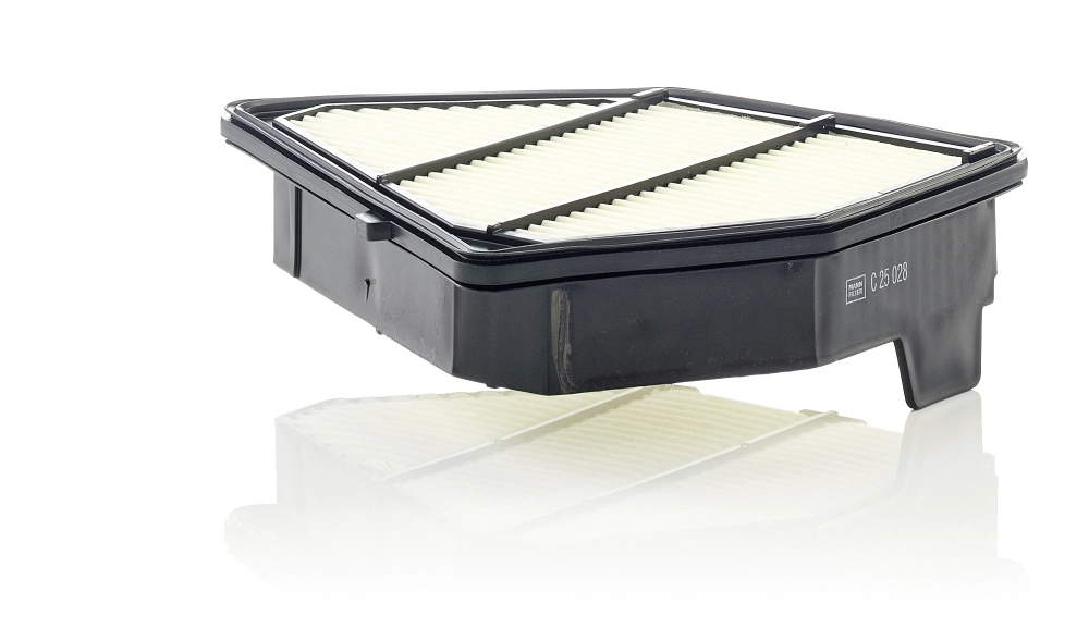 Air Filter C 25 028