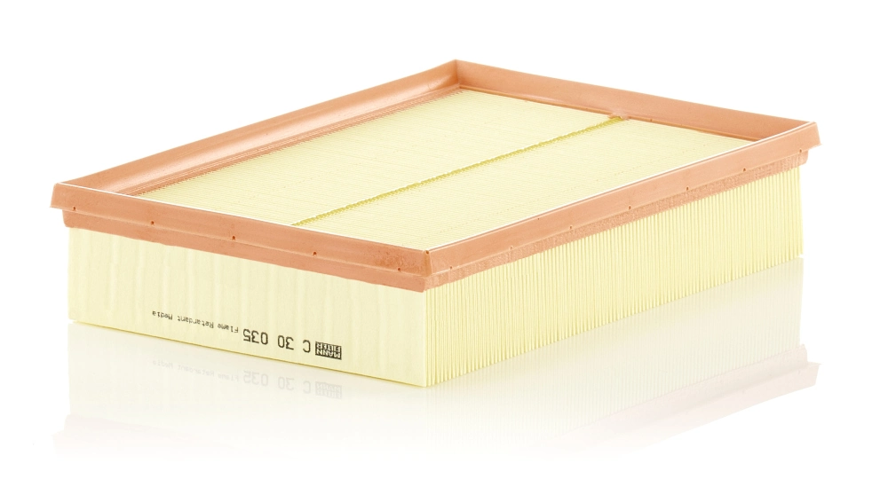 Air Filter C 30 035
