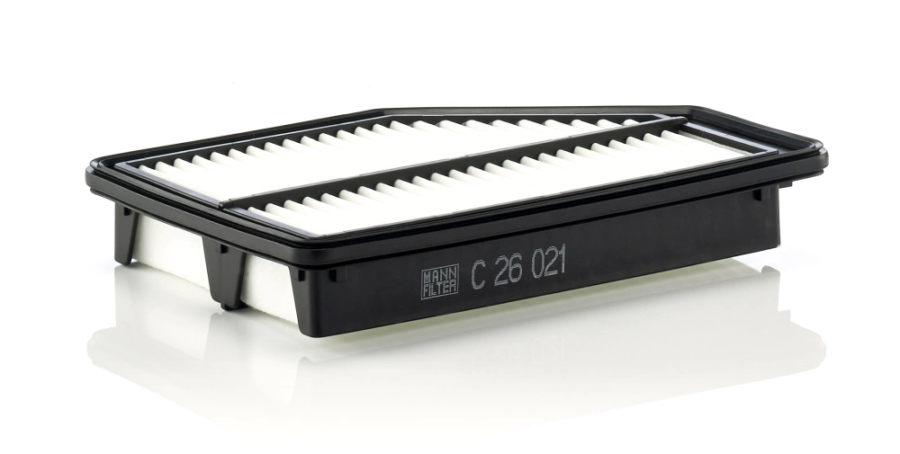 Air Filter C 26 021