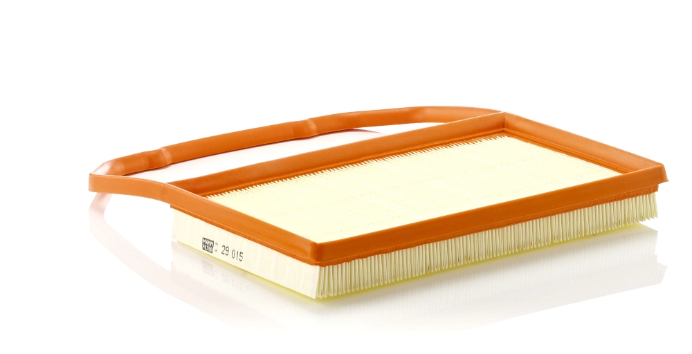 Air Filter C 29 015