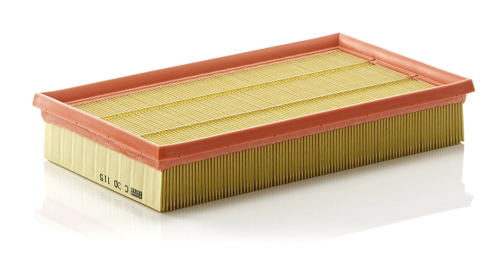 Air Filter C 30 115