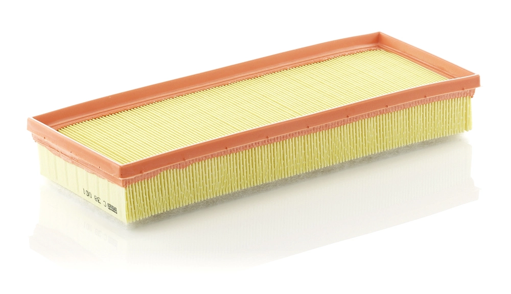 Air Filter C 38 001