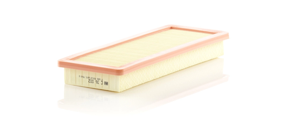 Air Filter C 36 002