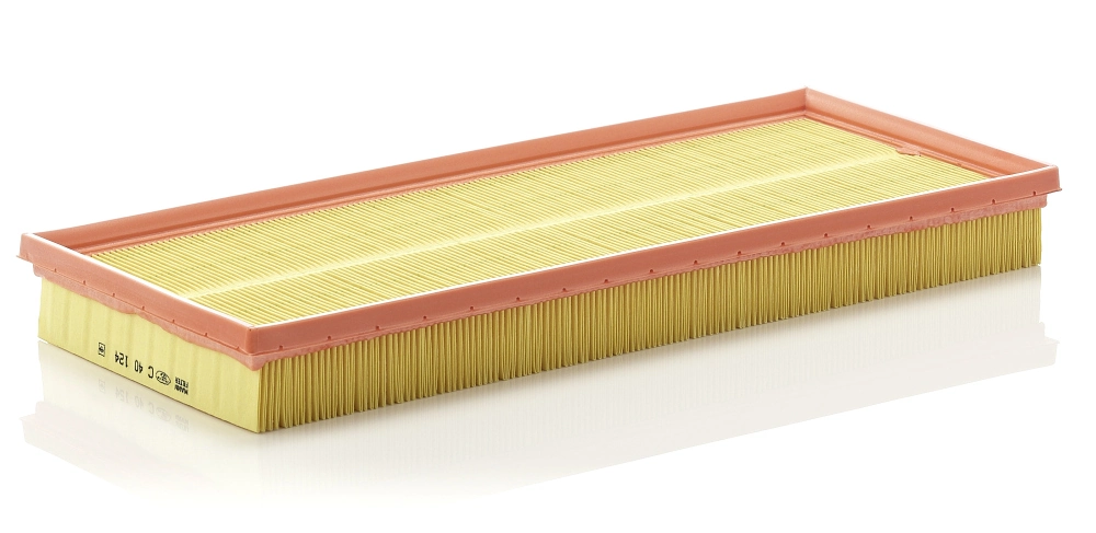 Air Filter C 40 124