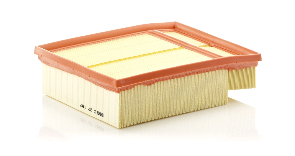 Air Filter C 27 187