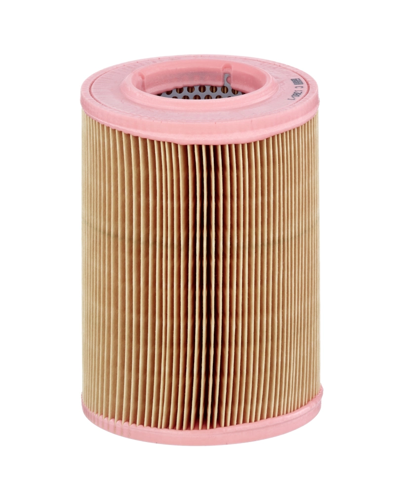 Air Filter C 1380/1