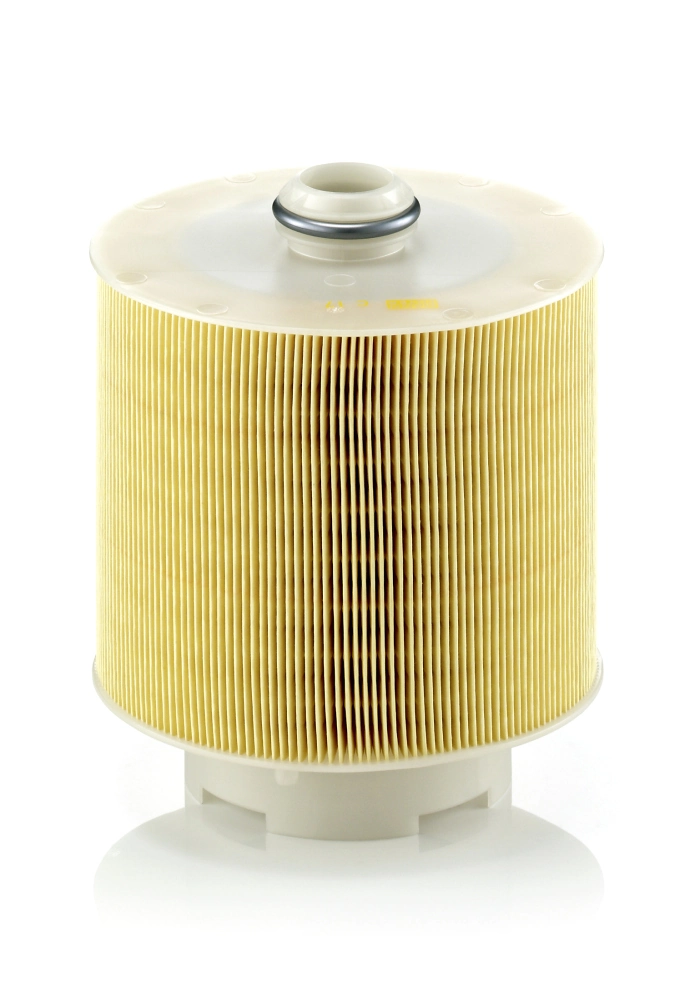 Air Filter C 17 137/1 x