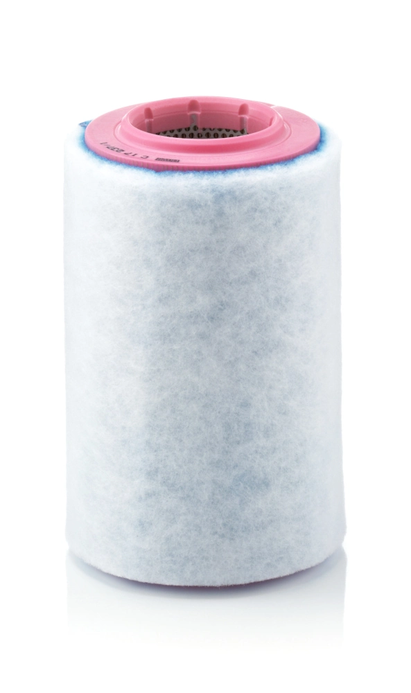Air Filter C 17 237/1