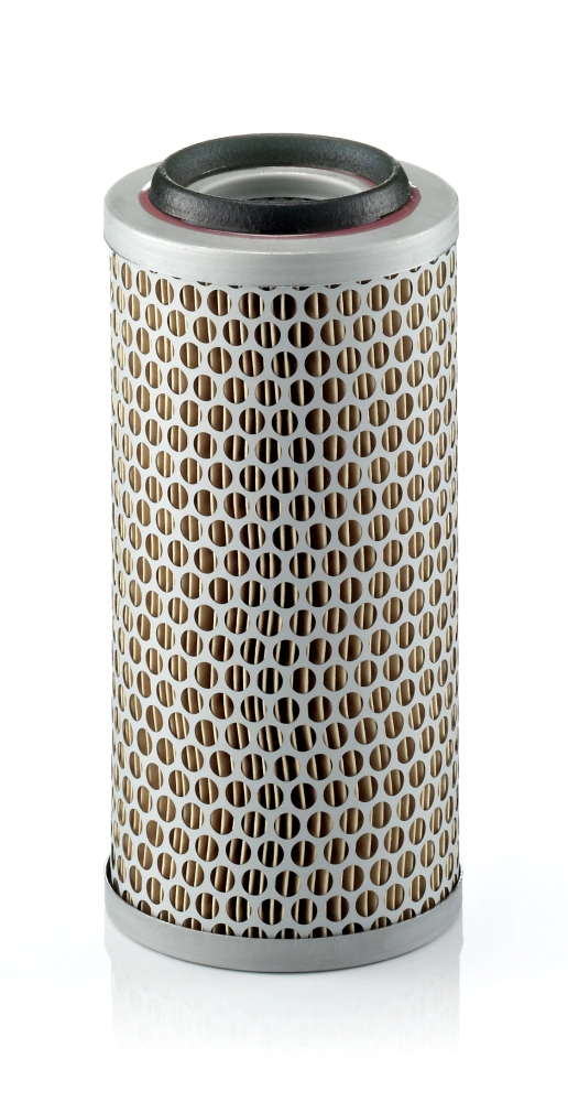 Air Filter Piclon C 1176/3