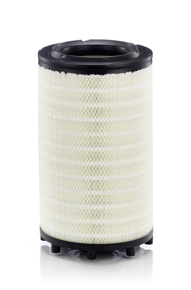Air Filter C 31 017