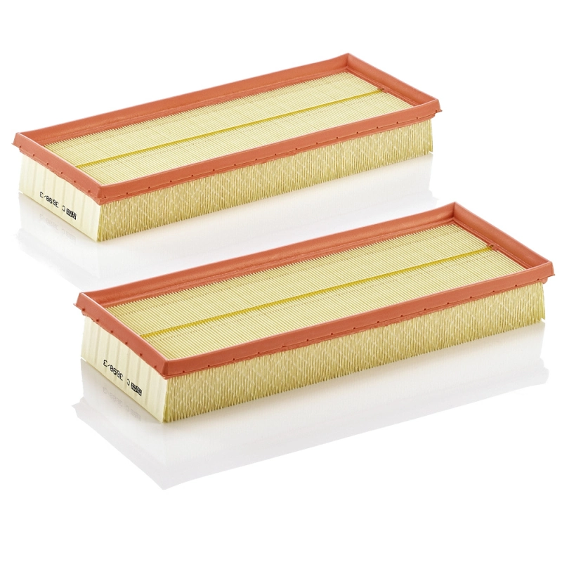 Air Filter C 3698/3-2
