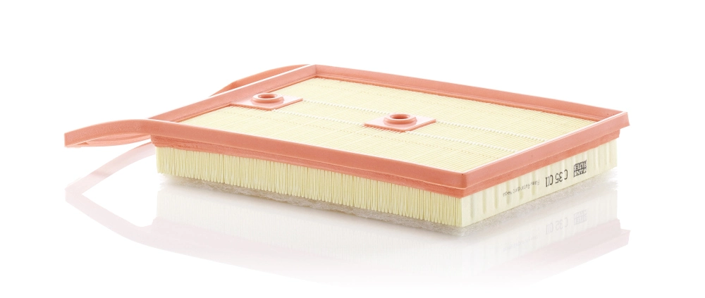 Air Filter C 35 011
