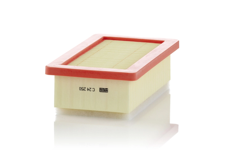 Air Filter C 24 250