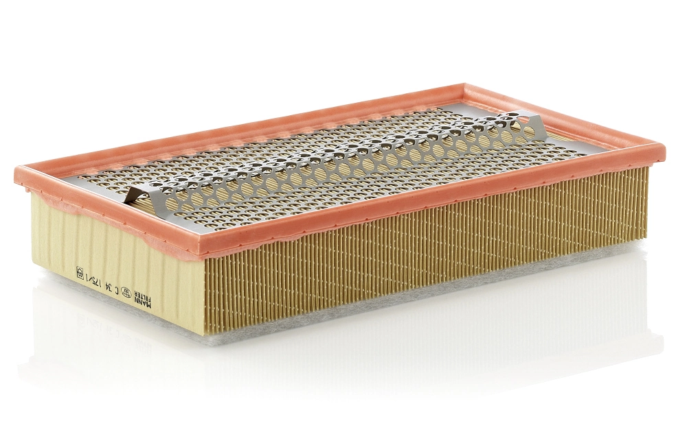 Air Filter C 34 175/1